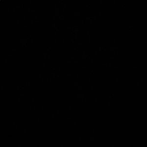 Meet your Posher, Luz